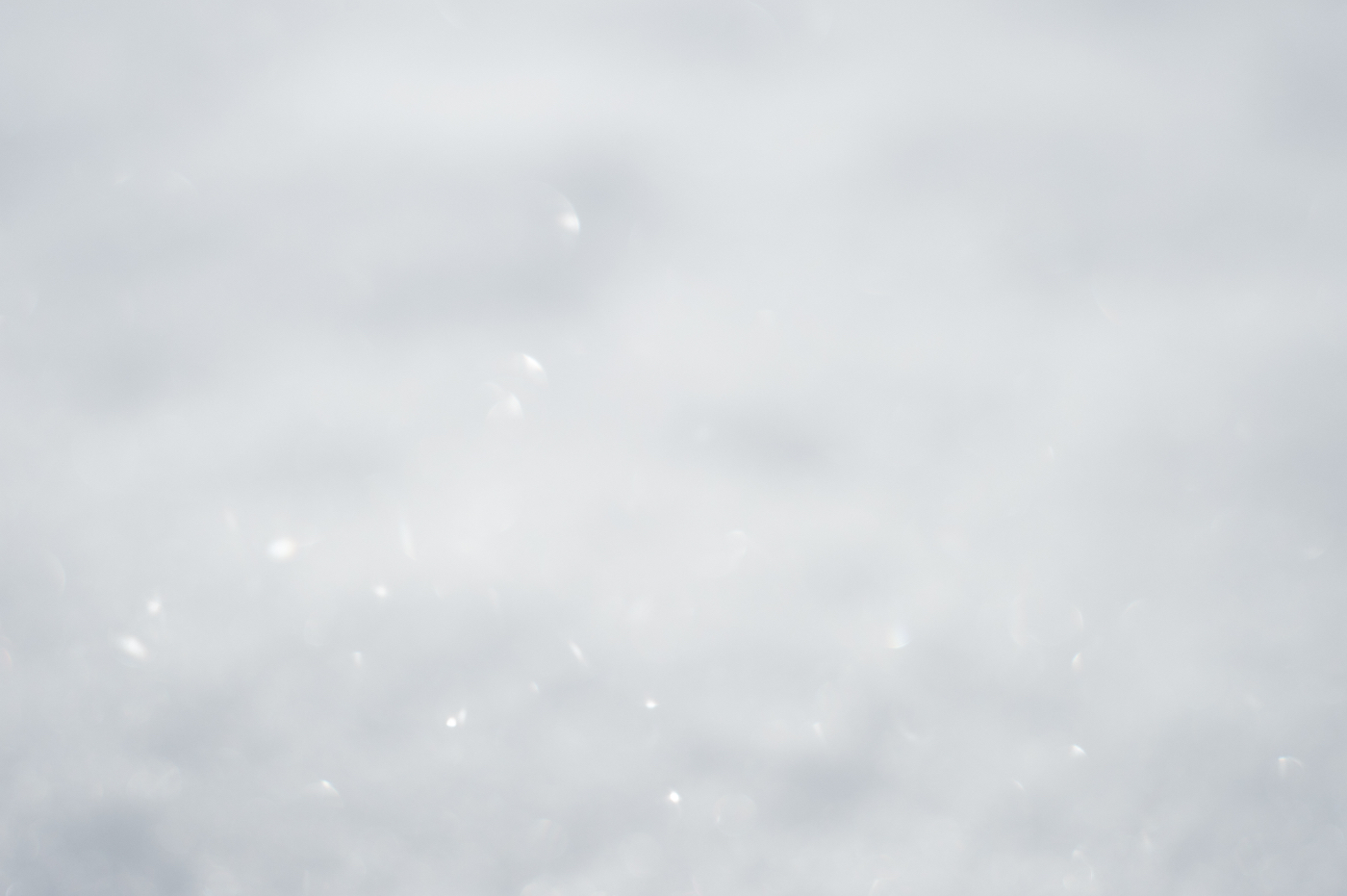 雪の接写。ピントが合っていないのでぼんやり広がる白にきらきらとした光が散らばっている