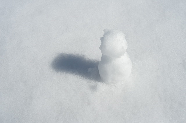 雪だるまの写真