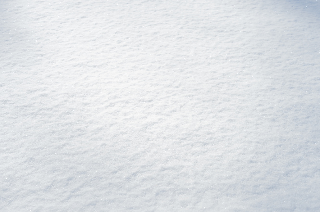 一面に雪が積もっている写真