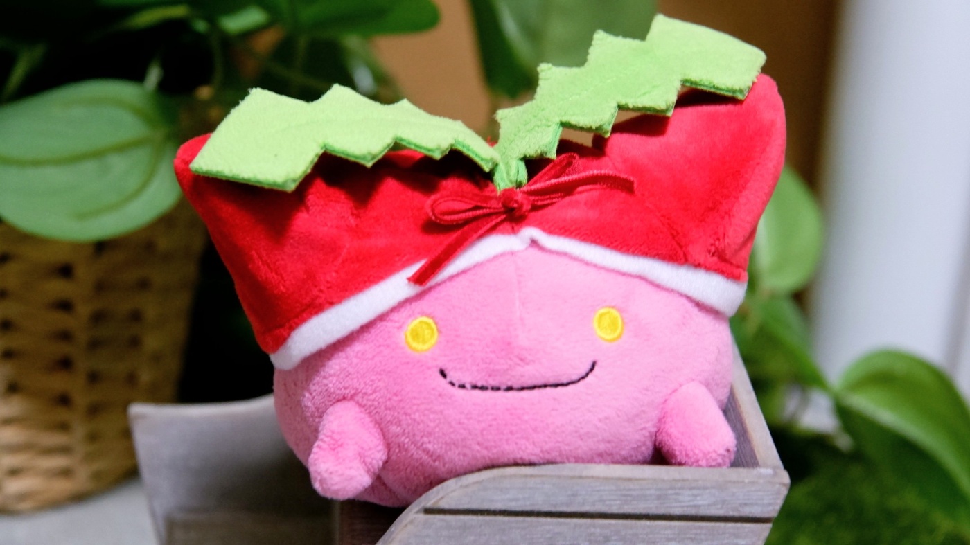 ハネッコのサンタ帽子