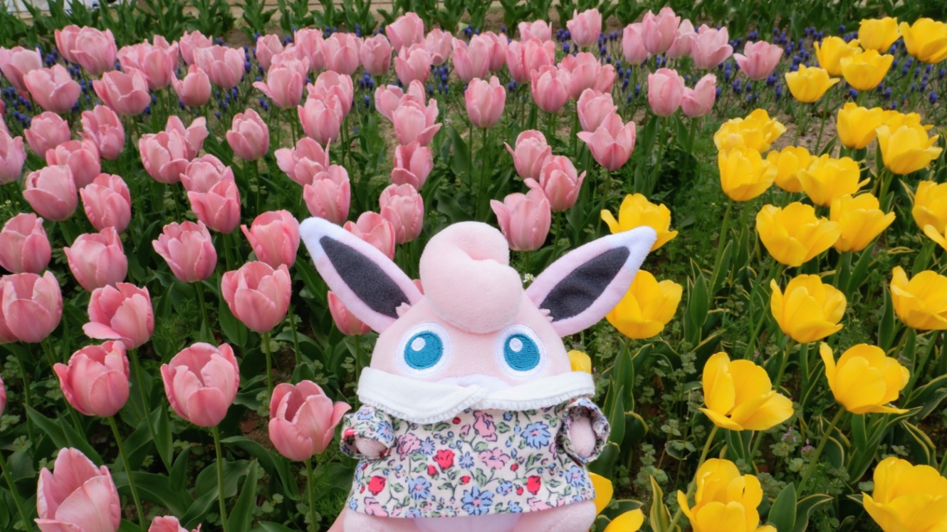 プクリンのシャツ